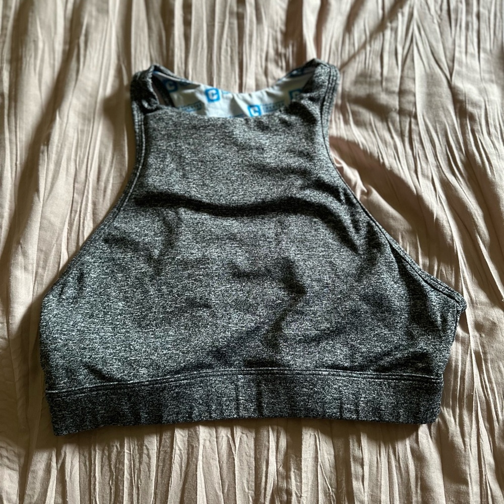 The Chestee Gray Crop Top